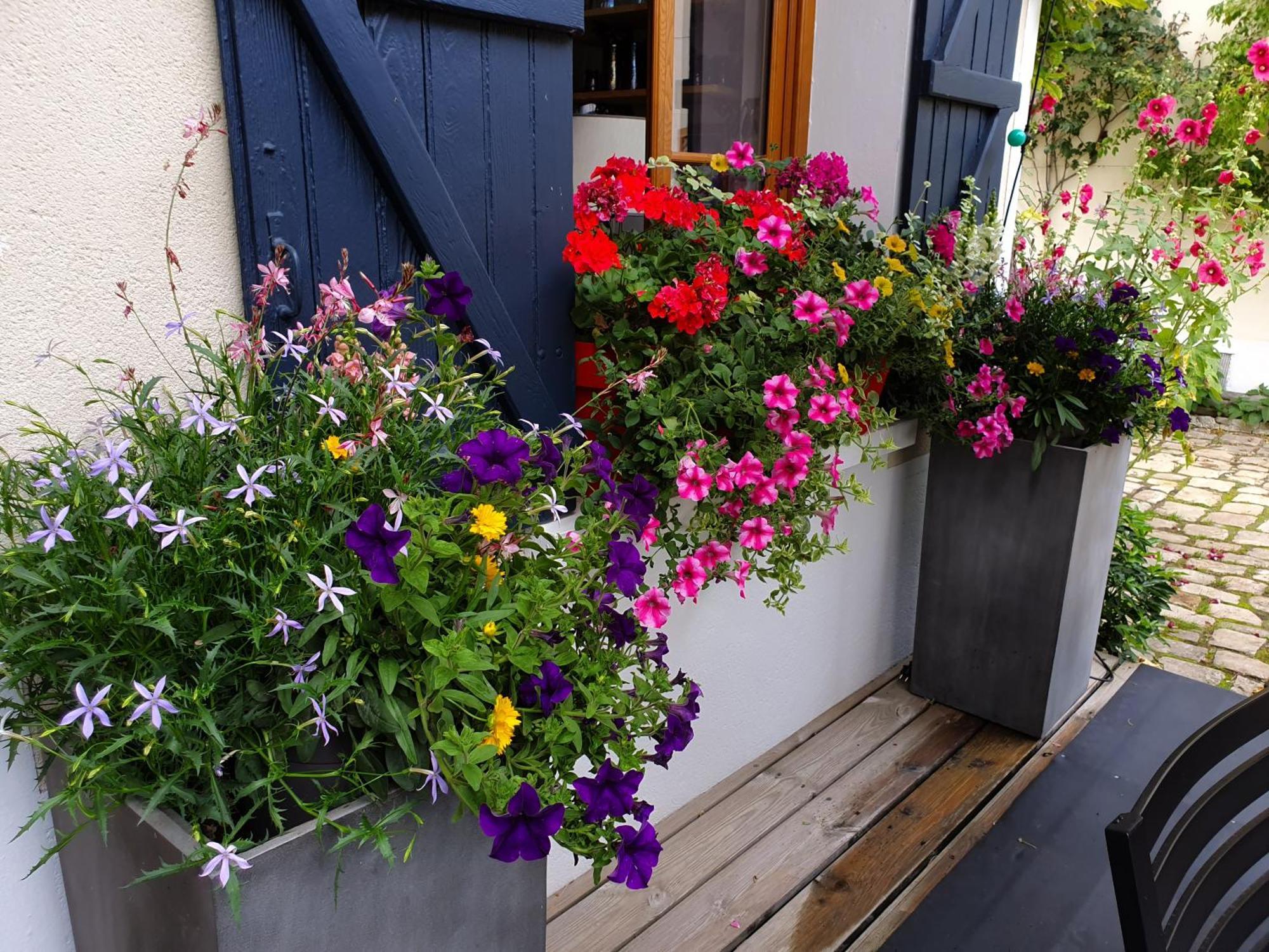 Les Glycines Bed & Breakfast Ury Luaran gambar
