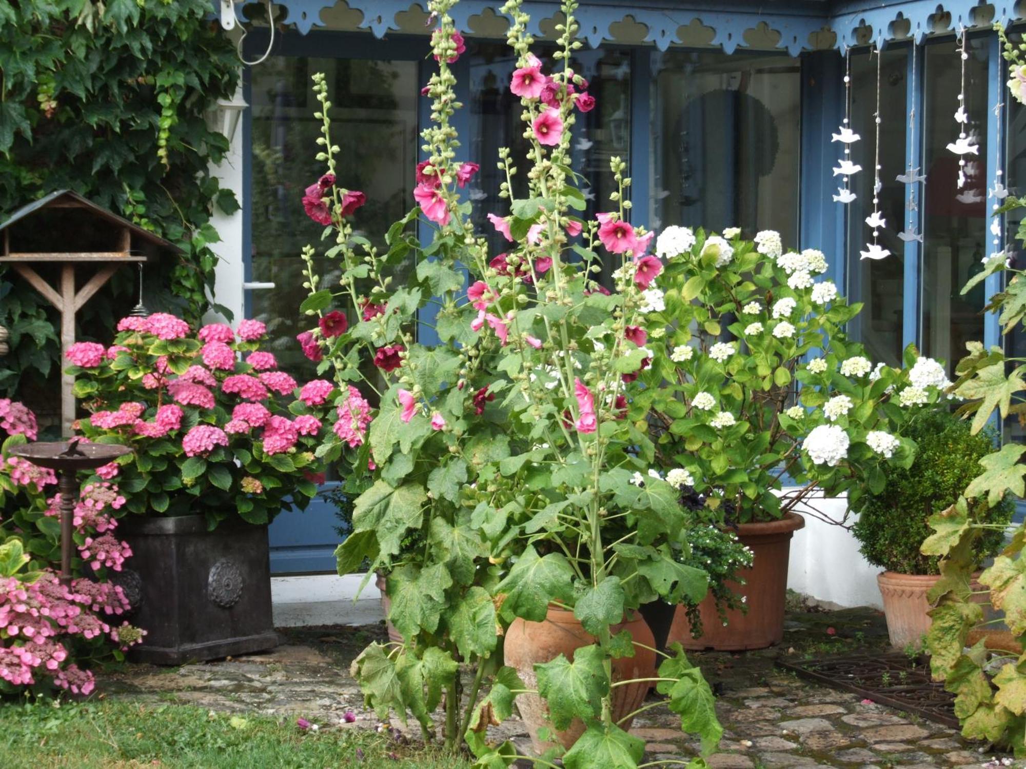 Les Glycines Bed & Breakfast Ury Luaran gambar